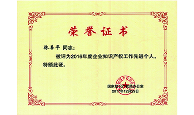 林善平榮獲國家“企業(yè)知識(shí)產(chǎn)權(quán)工作先進(jìn)個(gè)人”